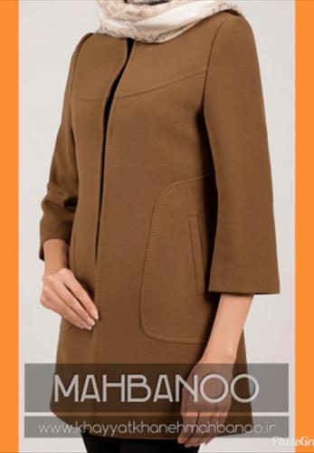 پالتو مجلسی