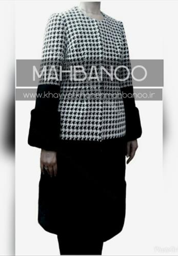 پالتو مجلسی