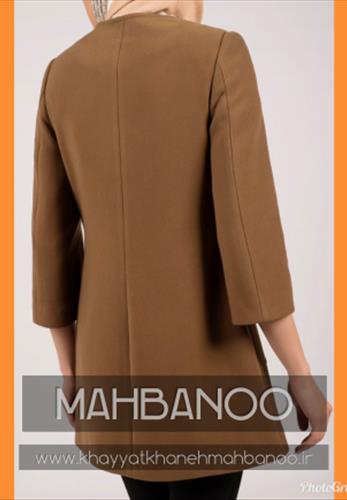 پالتو مجلسی